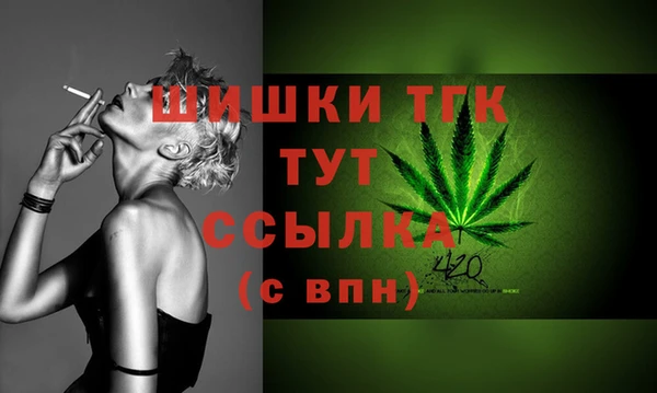 мяу мяу мука Гусь-Хрустальный