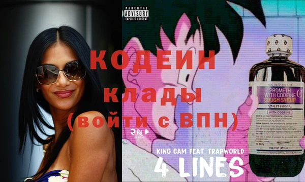 мяу мяу мука Гусь-Хрустальный